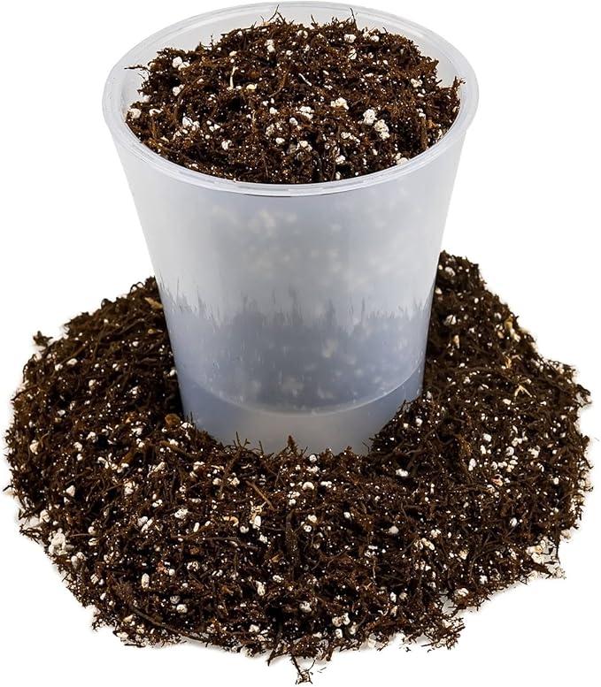 Premium Aglaonema Plant Soil Mix by Gardenera - Stimulate Growth and Elevate Leaf Color with Nourishing Formula - 5 Quart