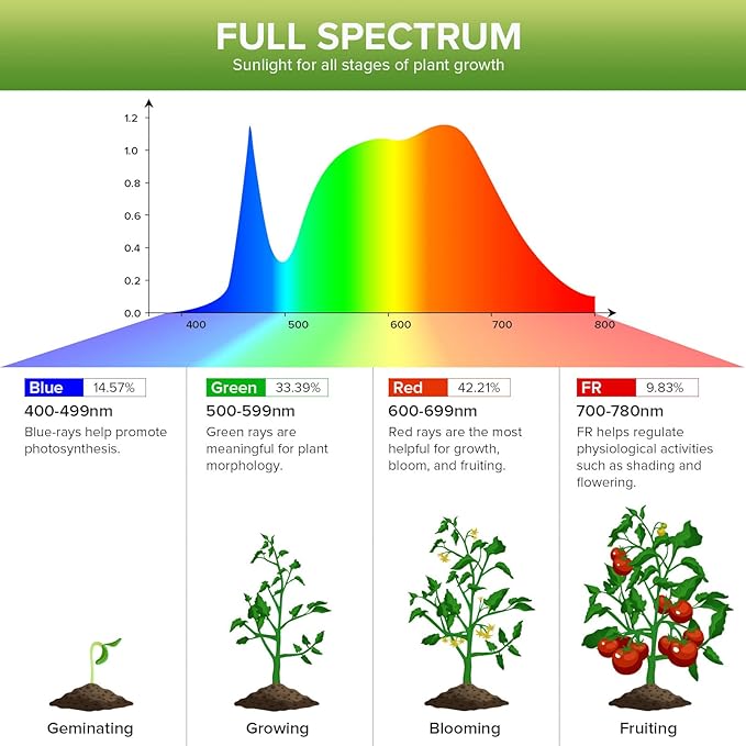 LED Grow Light Bulb 360W Equivalent, A21 24 W Full Spectrum for Indoor Plants, Ceramic Tech Grow Lamp with Optical Lens for High PPFD, 4000 K Daylight for Plant Growing
