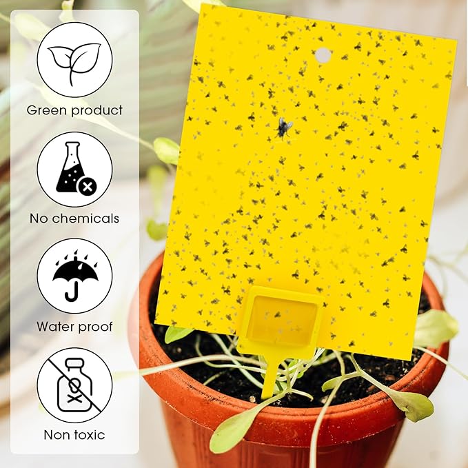 Qualirey 200 Pcs 7.87 x 9.84 Inches Yellow Sticky Traps for Plant Gnats Dual Sided Fruit Fly Sticky Traps for Indoors and Outdoors with Twist Ties and Plastic Holders for Plant Insect, Fungus Gnats