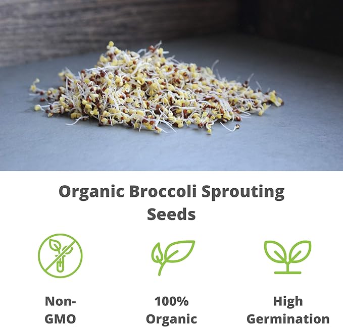 Organic Broccoli Sprouting Seeds by Handy Pantry | 2.5 Pound Resealable Bag | Bulk Non-GMO Broccoli Sprouts Seeds, Contain Sulforaphane