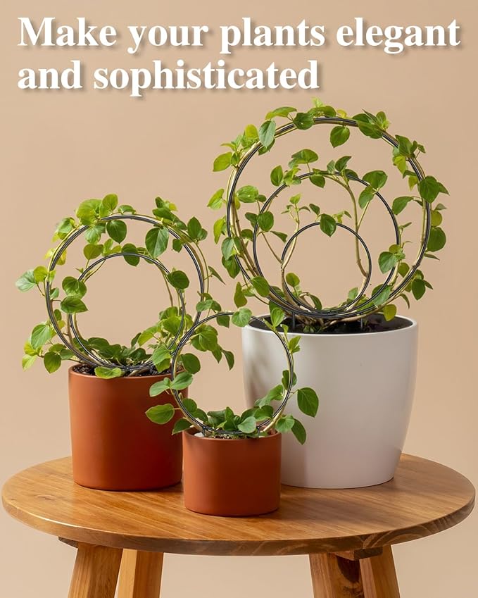 3 Pcs Different Sizes Metal Hoya Trellis, Small Round Indoor Plant Trellis for Potted Plants Climbing, Black Unique Houseplant Trellis for Vine Ivy Flower Plant Support