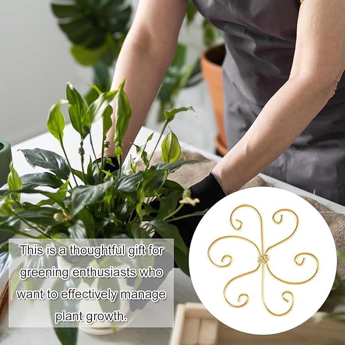 5 Pcs Plant Stem Support, Iron Monstera Plant Support, Durable Hook Stem Supports for Healthy Growth, Bamboo Clamp Set for Leaf Stabilization and Support, Ideal Present for Plant Lovers (5.5IN*5.5IN)