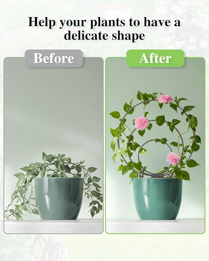 3 Pcs Different Sizes Metal Hoya Trellis, Small Round Indoor Plant Trellis for Potted Plants Climbing, Black Unique Houseplant Trellis for Vine Ivy Flower Plant Support
