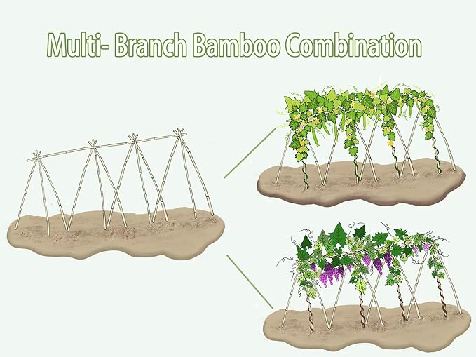 Plant Bamboo Post,4Feet,Bamboo Garden Stakes,50PcsBamboo Stakes,for Tomato,Beans,Vegetable and Flowers, Potted Plants,Indoor and Outdoor Climbing Plants
