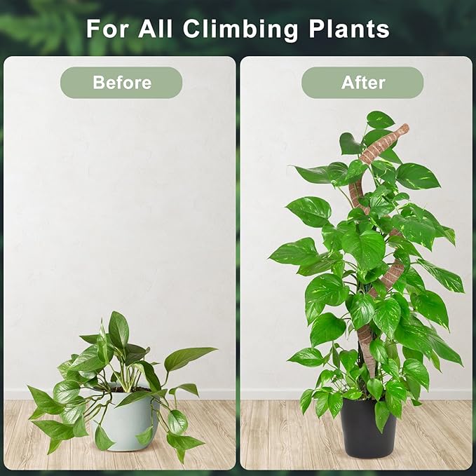 48 Inch Moss Pole, Bendable Moss Pole for Plants Monstera, Tall Moss Poles for Climbing Plants Indoor, Large Support, Garden Trellis Stick Stakes for Plants