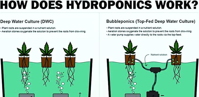 The Atwater HydroPod - DIY Add Your Own Bucket KIT - DWC Deep Water Culture Hydroponic Garden System - Bubble Bucket - with Nutrients and pH Kit - Bucket Not Included