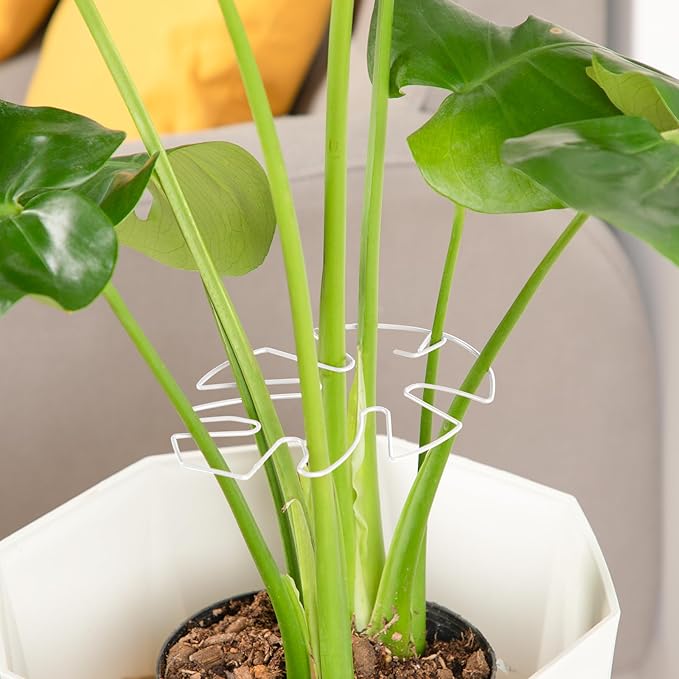 10PCS Iron Monstera Plant Support, Uniquely Designed Indoor Plant Accessories, Stable Plant Support Stakes for Indoor Plant, Turtle Shell Bamboo Clamp Set for Thriving Growth