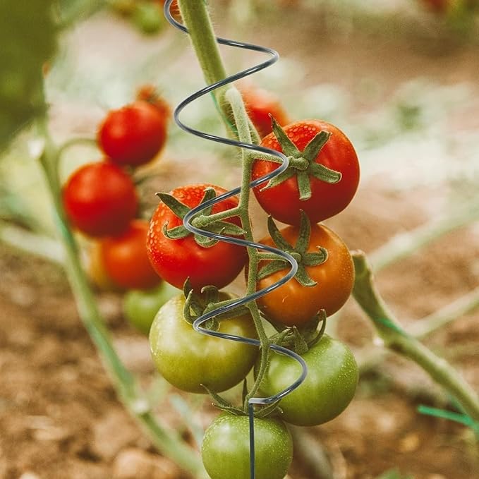 Tomato Twist Stake, Twisted Tomato Stakes Plant Supports, Tomato Cages Climbing Stake, Plant Support for Potted Plants Tomato Rose Vine, Plant Support Stakes for Potted Plants (10pcs)