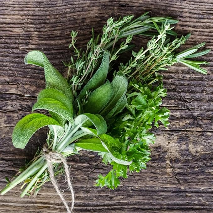 German Thyme Plants - Perfect for Indoor or Outdoor Gardening, High in Antioxidants, Fragrant and Flavorful Herb (4 ger Thyme Bags)