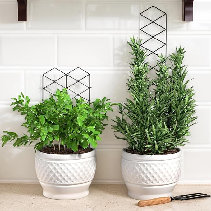 Stackable Metal Trellis for Potted Plants, 4 Packs 17 Inch Small Garden Trellis for Climbing Plants Indoor, Pothos Plant Climber Support Indoor Plant Support Stakes, Black