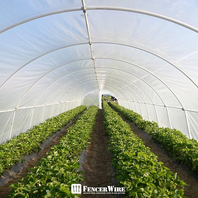 Fencer Wire 6 mil Clear Greenhouse Plastic Sheeting UV Resistant Polyethylene Greenhouse Film, Hoop House Cover for Horticulture, Gardening, Farming and Agriculture 90% Light Transmittance, 32β x 50β