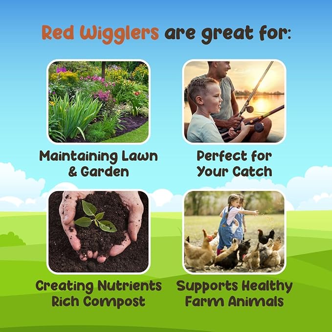 Red Wigglers Composting Worms - 1/4lb Red Worms for Composting Bin, for Plants or Gardening, Compost Worm for Soil Fertility & Worm Farm, Easy to Manage