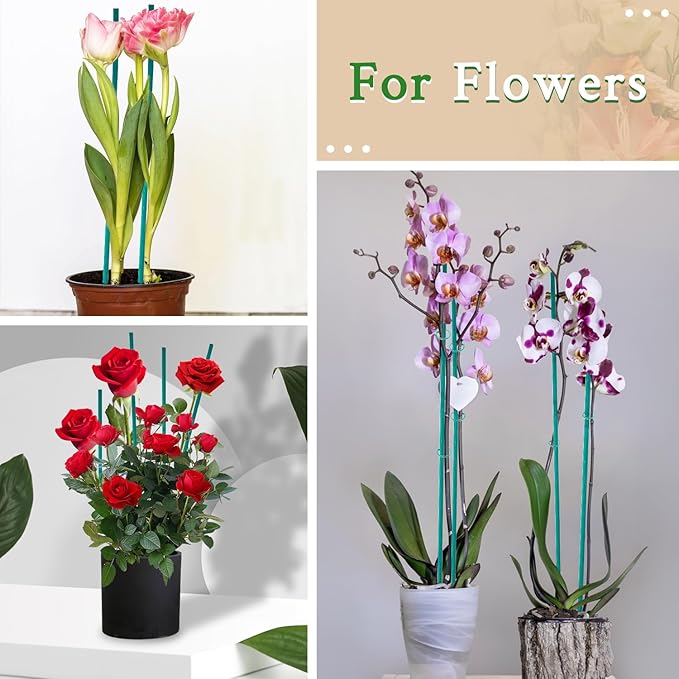 Plant Sticks 17 Inch &12 Inch Wood Plant Stakes 30 Pack Orchid Support Stick Sturdy Blue Green Bamboo Plant Holder Gardening Floral Picks Potted Plants Support
