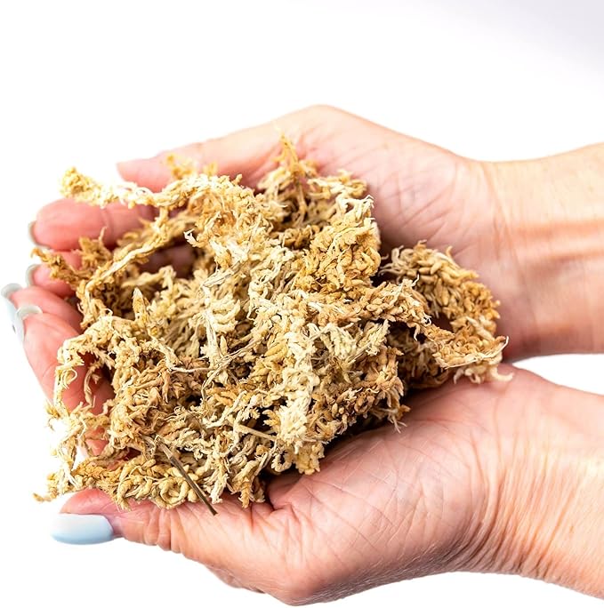 Ixora Plant Potting Soil - All-Natural Blend for Thriving Ixora Plants - Boosts Root Health and Vibrant Blossoms - 10 Quart