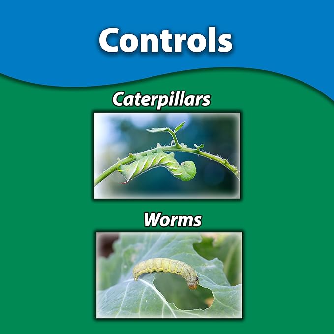 Monterey BT - Bacillus Thuringiensis for Organic Worm and Caterpillar Control Bundled with Measuring Spoon - Concentrate for BT Spray - 16 oz