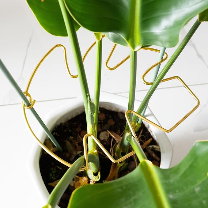 Monstera Plant Support Stem Stabilizer 9 * 7.6 inches- Durable Leaf Holder & Adjustable Stake for Fishbone Cactus, Easy to Install Garden Tool for Optimal Growth in Indoor Plants