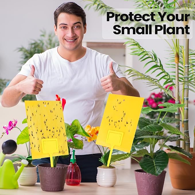 Qualirey 200 Pcs 6 x 8 Inch Sticky Traps for Gnats Dual Sided Fruit Fly Sticky Traps for Indoor and Outdoor Plant with Twist Ties and Plastic Holders for Flying Plant Insect, Fungus Gnats (Yellow)