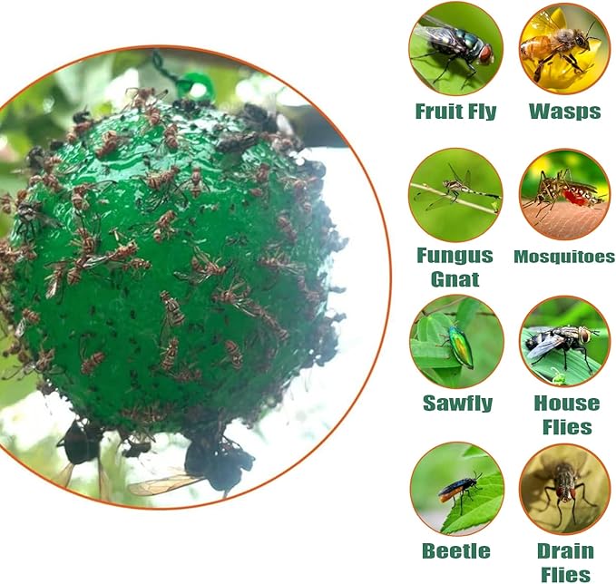 Fruit Fly Traps Ball Fly Trap Indoor, 6 PCS Hanging Bugs Sticky Ball Fly Trap Outdoor, Gnat Trap Ball for Indoor Outdoor House Kitchen Plants Trees (6PCS, Green)