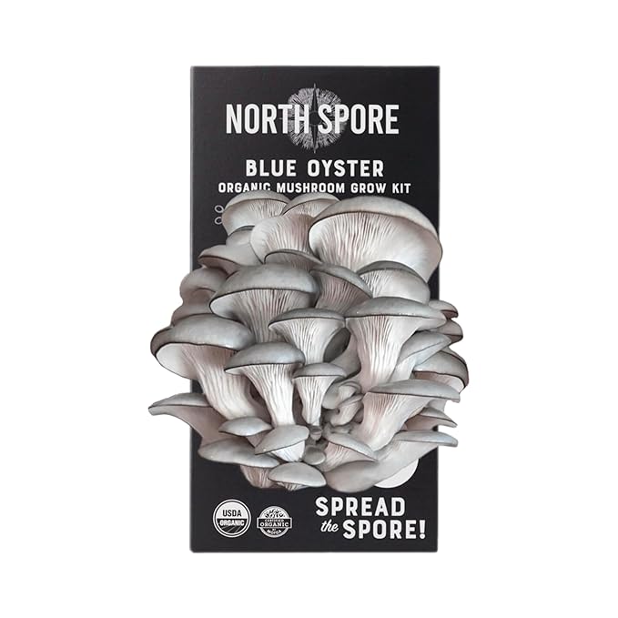 (3-Pack) North Spore Organic Blue, Pink, and Golden Oyster Mushroom Spray & Grow Kits (4 lbs each) | USDA-Certified Organic, Non-GMO, Beginner-Friendly & Easy to Use | Handmade in Maine, USA