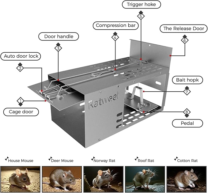 Humane Rat Trap Live Mouse Trap Indoor Catch and Release Animal Cage Multi Large Bait Outdoor Reusable Chipmunk Mice Voles Rodent That Work (1)
