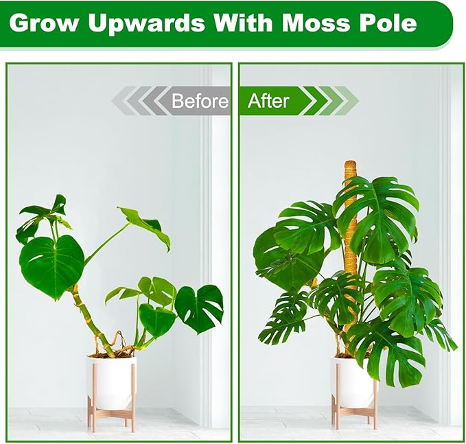 Joyhalo Bendable Moss Pole for Plants, 48 Inch Monstera Plant Support Stakes, Moss Poles for Climbing Plants with Jute Rope, Coco Coir Pole Indoor Plant