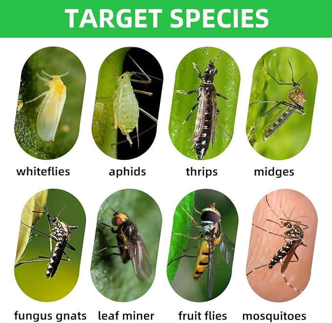 60 Pcs Classic Sticky Traps for Fungus Gnat (Plants), Fruit Fly, Whitefly, and Fly, Yellow Sticky Insect Catcher Traps for Indoor/Outdoor, Kitchen, and Plants, High-End Glue, Non-Toxic, 4 Shapes