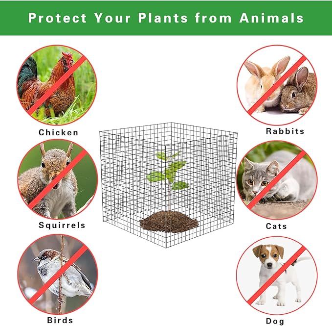 5 Pack Wire Plant Protectors Square Wire Plant Cages Mesh Plant Cage Chicken Wire Cloche with 20 Ground Stakes and 100 Nylon Ties Protect Plants, Garden,Shrubs and Vegetables from Animals, 12x12 inch