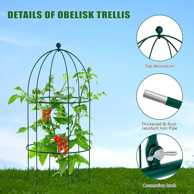 3 Pack Metal Plant Cage Support, 31.5" H Peony Support Tomato Cage Garden Obelisk Trellis Rose Trellis Support Tower Obelisk Garden Trellis for Clematis Vine Jasmine Support Outdoor Indoor