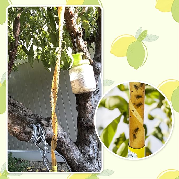Stingmon 40 Pack Sticky Fly Trap Indoor, Fly Traps Outdoor Hanging, Fruit Fly Trap, Fly Strips Fly Tape Fly Killer Fly Catcher Fly Paper Fly Ribbon, Flying Insect Trap for Bug, Gnat, Insect, Mosquito