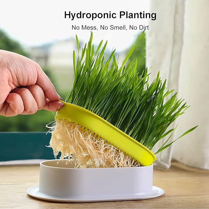 3Pcs Cat Grass Planter (No Seeds Included) Wheatgrass Planting Trays Hydroponic Cat Grass Growing Kits for Indoor Cats Soilless Organic Nursery Box Pet Grass Pot (I)