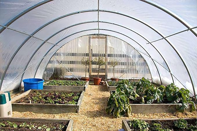 Greenhouse Plastic Sheeting 12x50 ft, 6 mil Thickness Replacement Cover, UV Resistant