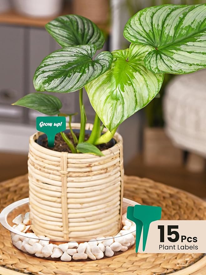 GROWNEER 24 Pack of 6, 8, 10, 12 Inches Clear Plant Saucers Flower Pot Trays, with 15 Pcs Plant Labels, Plastic Plant Drip Trays for Indoor Outdoor Plants Garden, Assorted 4 Sizes, 6pcs of Each Size