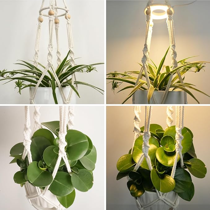 Macrame Plant Hanger with Grow Light: 2 Pack Boho Hanging Planters with Light for Indoor Plants, Ideal for Apartments, Small Spaces, Low-Light Rooms (GrowPro Spectrum)