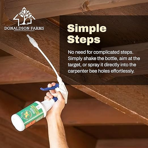 All-Natural Foaming Spray - Carpenter Insect Bee Killer - Reliable Defense for All Kinds of Insects, 16 oz