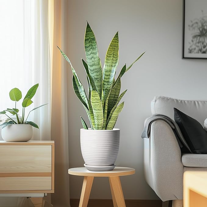 Ceramic Pots for Plants - 6 Inch Plant Pot with Drainage Hole and Saucer, Round Planters for Indoor Outdoor, Flower Pots, Modern Planter, Home Office Room Decor, Gifts for Plant Lovers, White