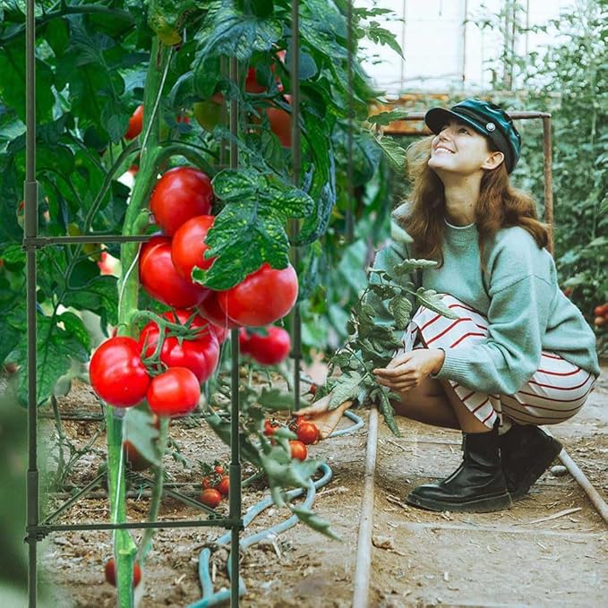 3 Package up to 48in Tomato cage Garden Grid Plant Support Posts with Adjustable Tomato cage Vegetable Grid (3pack)
