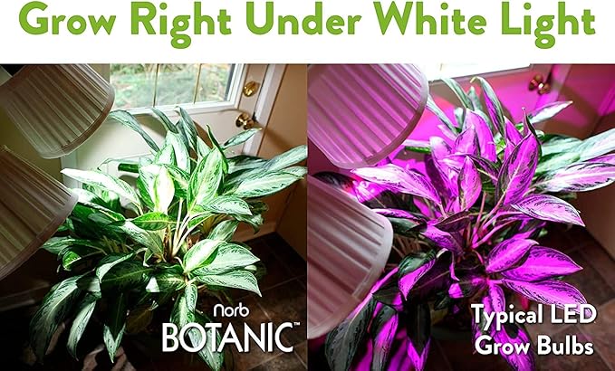 NorbBOTANIC Plant Light. Premium Indoor Grow Light with Full Spectrum Light. LED Light Bulb Mimics Sun with Powerful 1350 Lumens. “Grow Right Under White” Better than Purple Grow Lights. 16W 15 Degree