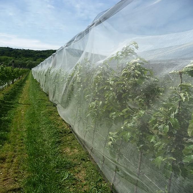 Garden Pest Barrier Netting, Insect Barrier Thickened Mesh Net Plant Covers 10x10Ft Ultra Fine Protection Netting for Vegetable Fruits Crops Row Cover Strawberry Raised Bed Bugs Out Screen Net
