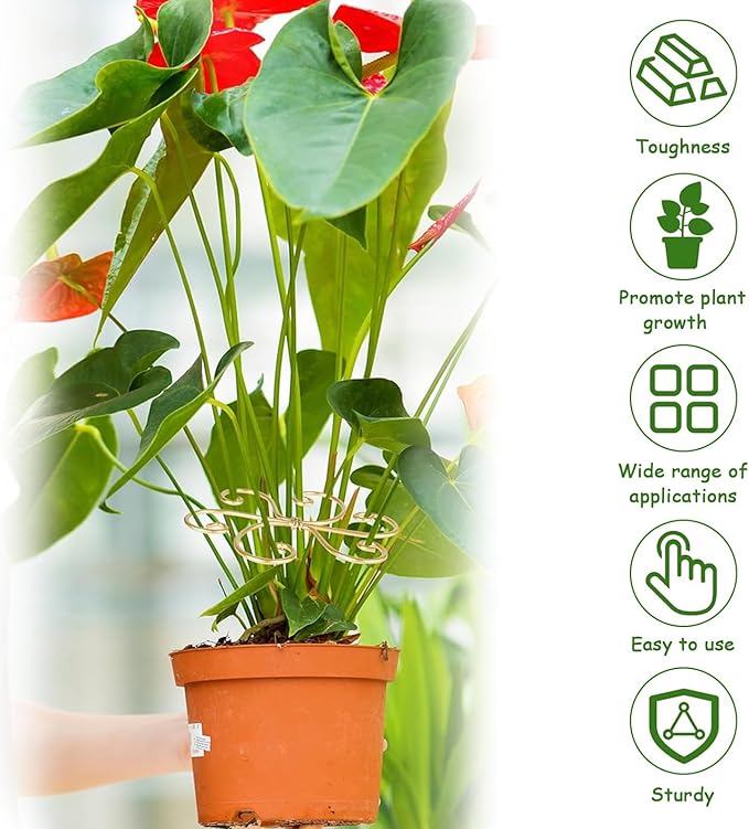 5 Pcs Plant Stem Support, Iron Monstera Plant Support, Durable Hook Stem Supports for Healthy Growth, Bamboo Clamp Set for Leaf Stabilization and Support, Ideal Present for Plant Lovers (5.5IN*5.5IN)