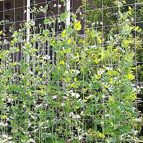 Professional Garden Trellis Netting Bulk Roll - 4ft x 3280ft Heavy-Duty Garden Netting for Climbing Plants,Garden Melons Vegetables, Grape Racks, Hydroponic