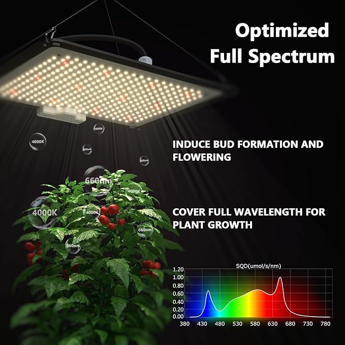 Upgrade Integrated Auto 2'X2' Grow Tent Kit Complete System, S1000 LED Grow Light, Grow Tent with 4“Ventilation Kit, Inline Fan&Carbon Filter, Irrigation Kit, Humidifier and Clip Fan
