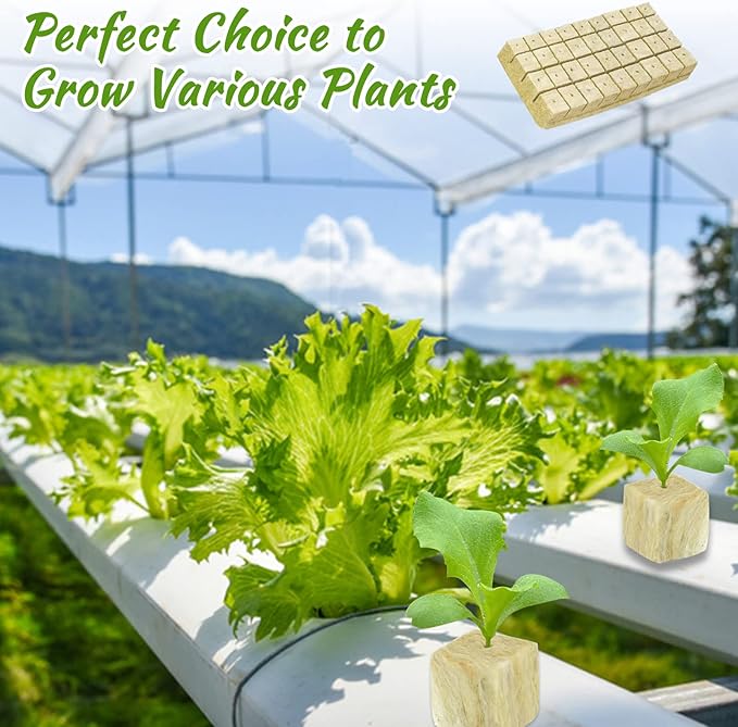 Legigo 1.5 Inch Rockwool Cubes for Hydroponics Seed Starter, Rock Wool Planting Cubes Hydroponic Garden Grow Plugs for Soilless Cultivation Plants Cutting Germination Clone(2 Sheet, 98 Plugs)