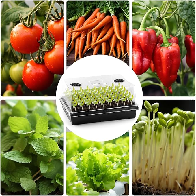 4-Pack Seed Starter Trays with 5'' Tall Humidity Domes – Reusable Plant Germination Kit for Microgreens, Herbs & Indoor Gardening | Clear Vented Lids, Fast Seedling Growth & Durable Design
