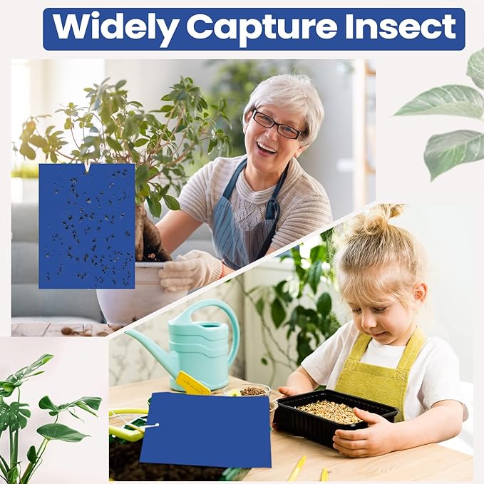 Qualirey 100 Pcs 6 x 8 Inch Sticky Traps for Plant Double Sided Sticky Trap for Gnats with Twist Ties Fly Traps for Fruit Insect Fungus Bugs Indoor Outdoor (Blue)