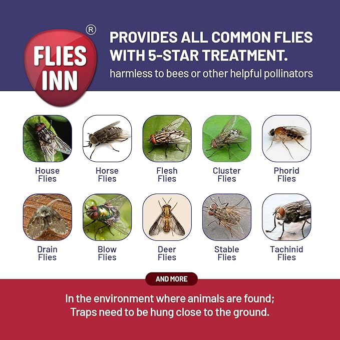 EZ Fly Cage Ranch Fly Trap with 2 Flies Inn Fly Attractant Bait Refill, Low Odor, Reusable, Built to Last for Years (6 Traps + 72 Baits, 1)