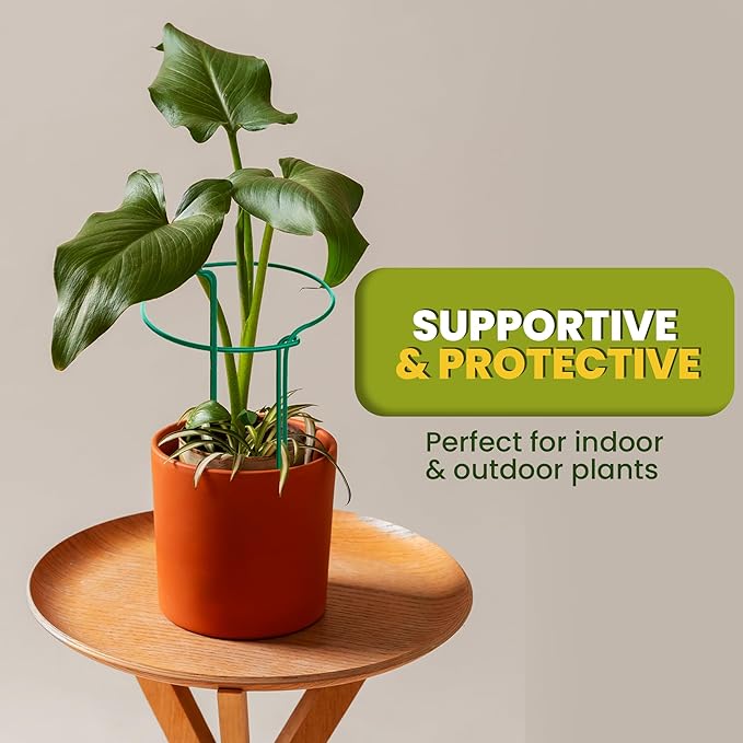 6 Pack Plant Support Stakes – Tall Plant Stakes for Indoor and Outdoor Gardens - Peony Cages and Supports - Cage Rings for Potted Flowers, Peony, Hydrangea, and Rose Bush (10" W x 16" - 24" H)