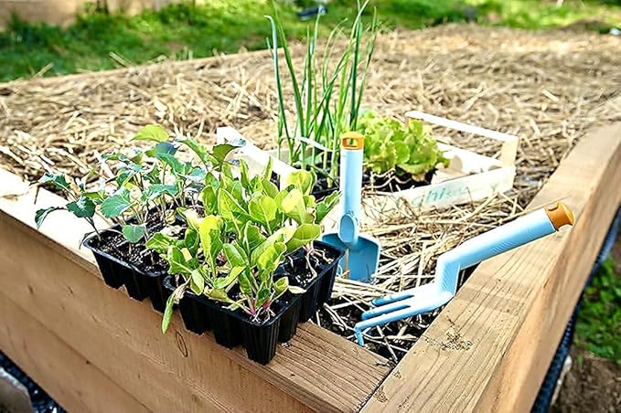 Blue Mountain Hay | Organic Garden Straw (25 lb) | Natural Mulch for Gardening, Flower Beds, Yard Landscaping, New Lawn Grass Seeding, Composting | Covers up to 375 sq ft