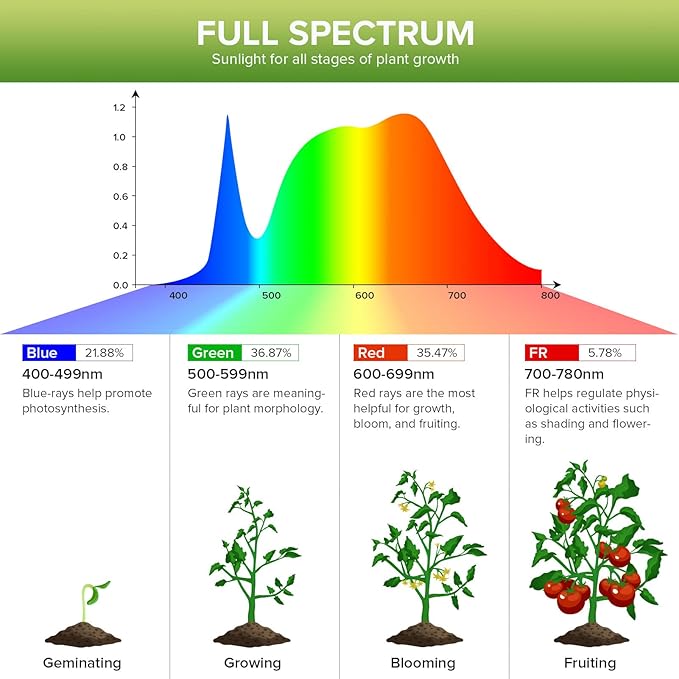 Grow Light Bulb 15 W (200 Watts Equivalent) Plant Light Bulbs E26 Base, Energy Saving Grow Lights for Indoor Plants, Seed Starting