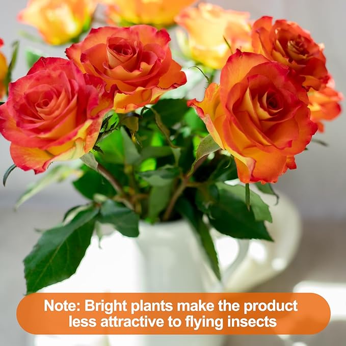 24PCS Fruit Fly Sticky Traps, Fungus Gnat Traps Insect Trap for Plants Kitchen Indoor and Outdoor(24 Light Yellow)