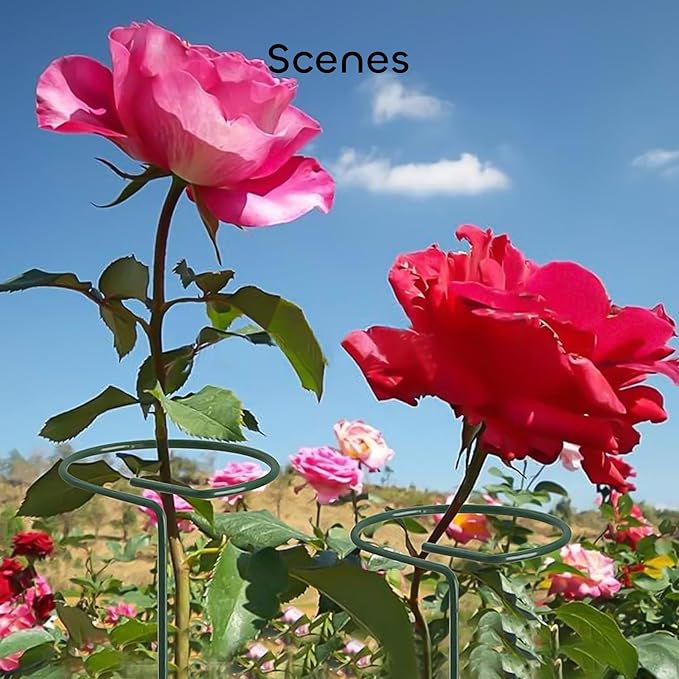 GROWNEER 12 Packs 16 Inches Plant Support Stakes, with 15 Pcs Plant Labels, Garden Single Stem Flower Support Stake, Plant Cage Support Rings for Flowers Amaryllis Orchid Peony Lily Rose